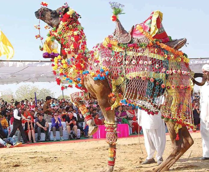 अन्तरराष्ट्रीय ऊंट उत्सव