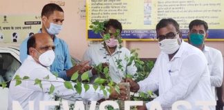 District Judge distributed plants, appeals for conservation of plants