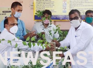 District Judge distributed plants, appeals for conservation of plants