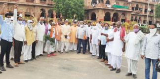 Gehlot government preparing to end grant of cowsheds, angry Go devotees