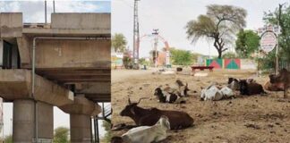 Overbridge built on Jaisalmer Road is giving trouble