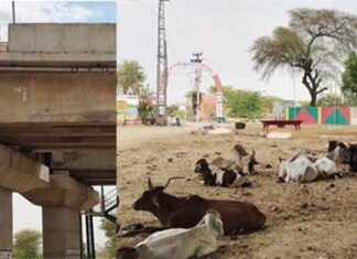 Overbridge built on Jaisalmer Road is giving trouble