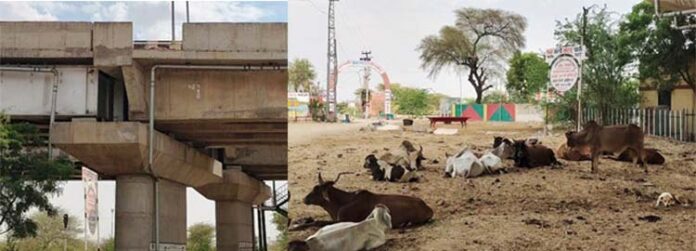 Overbridge built on Jaisalmer Road is giving trouble