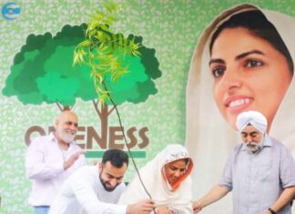 Urban tree cluster campaign started by Sant Nirankari Mission