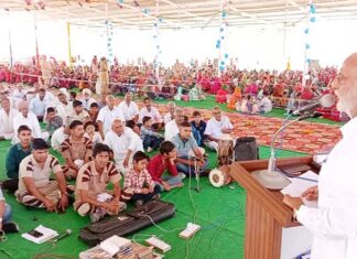 Dera Sacha Sauda: Pledge to serve the birds, followers will keep grain water on the roofs