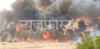 Bajju's forest area is burning for six hours, watch video...