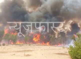 Bajju's forest area is burning for six hours, watch video...