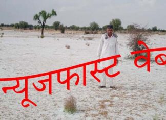 White storm rained from the sky, destroyed crops, watch video...