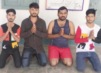 Police sent four operatives of Rohit Godara gang behind bars, watch video...