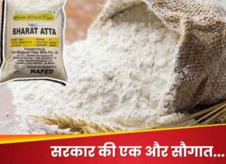 Government will sell cheap flour, 10 kg packet for Rs 275