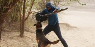 Dogs and eagles also cooperate with technology in tracing terrorists, watch video…