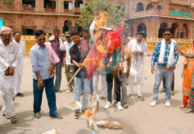 मुख्यमंत्री का पुतला फूंका
