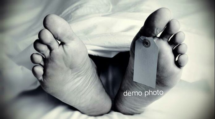 सरकारी स्कूल सरकारी स्कूल