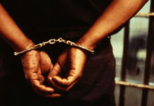 नोखा पुलिस की बड़ी कार्रवाही : साढ़े चार किलो अफीम और 9 क्विंटल डोडा पोस्त बरामद