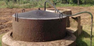 गोशालाओं