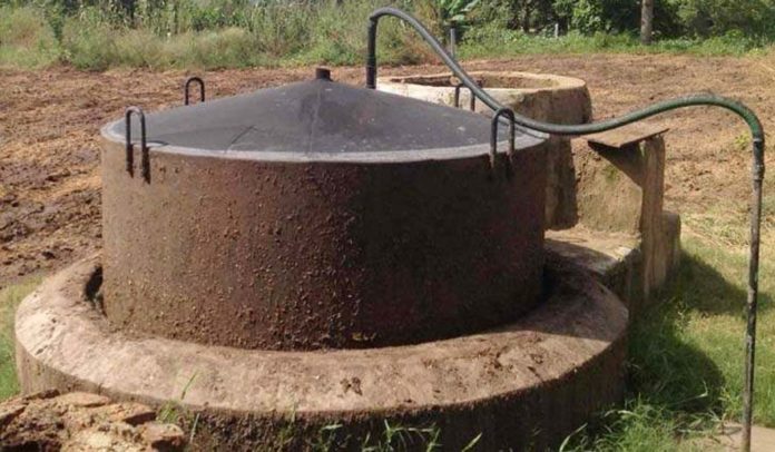 गोशालाओं गोशालाओं