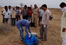 नर-कंकाल