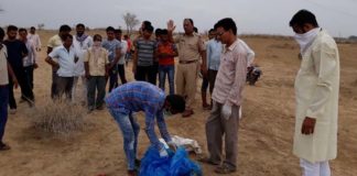 नर-कंकाल