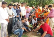 जेएनवी कॉलोनी सेक्टर चार में पौधरोपण राजस्थान ब्राह्मण मंच