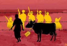 उन्मादी हिंसा रोकने के लिए सरकार बनाएगी स्पेशल टास्क फोर्स सरकार