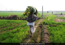 न्यूनतम समर्थन मूल्य (msp) की घोषित दरें डेढ़ गुना तो नहीं, फिर भी बड़ी राहत : चौपड़ा