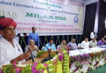 राज्य स्तरीय कार्यशाला