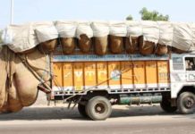 जिला मजिस्ट्रेट