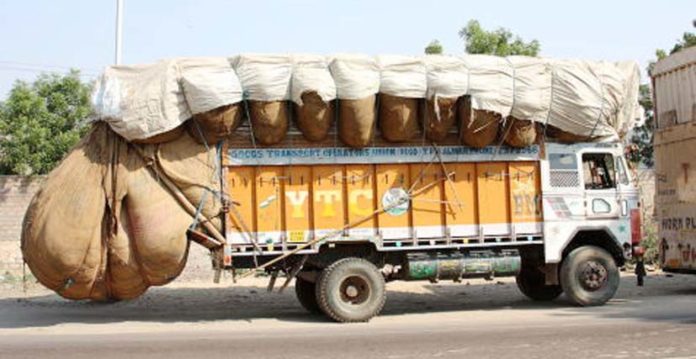 जिला मजिस्ट्रेट