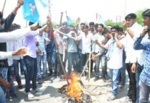 एनएसयूआई