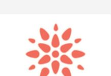 ई-सखी के मास्टर ट्रेनरों का प्रशिक्षण शुरू