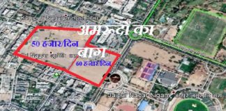 अमरूदों का बाग