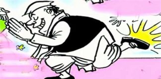 'चुनावी मेंढक'