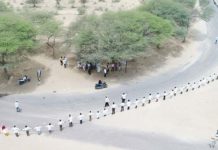 मानव शृंखला