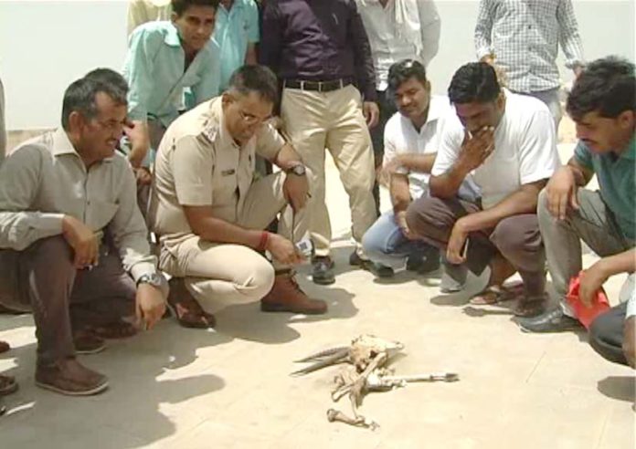 विश्वविद्यालय विश्वविद्यालय