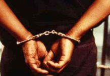 तीन पिस्टल सहित बदमाश गिरफ्तार पिस्तौल