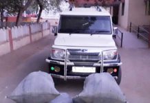 अवैध डोडा-पोस्त