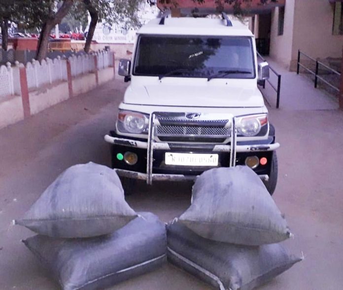 अवैध डोडा-पोस्त अवैध डोडा-पोस्त