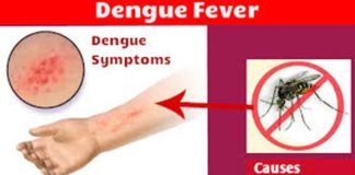 डेंगू का कहर