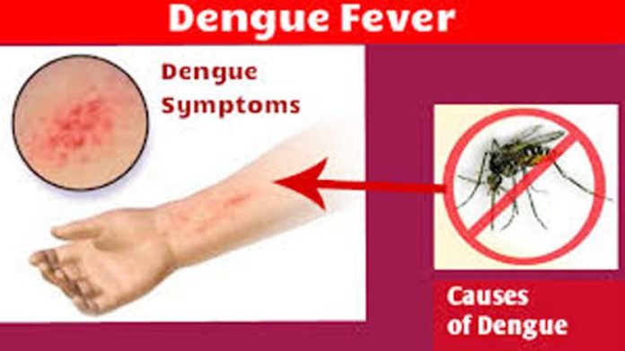 डेंगू का कहर डेंगू का कहर