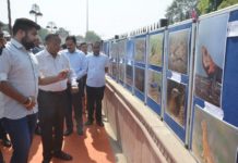 वाइल्ड लाइफ फोटो प्रदर्शनी आयोजित वाइल्ड लाइफ