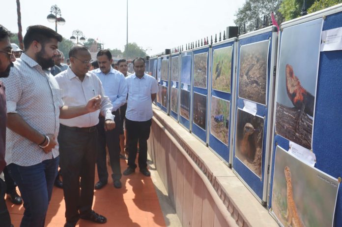 वाइल्ड लाइफ वाइल्ड लाइफ