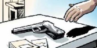 लाइसेंसी हथियार