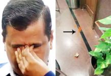 केजरीवाल पर गोली चलाने वाला था, मिर्ची पाउडर फेंक गया