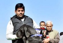 300 डॉग्स ने दिखाए हैरतंगेज कारनामे…. देखें वीडियो