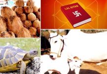 ये 12 संकेत जो होते हैं शुभ….