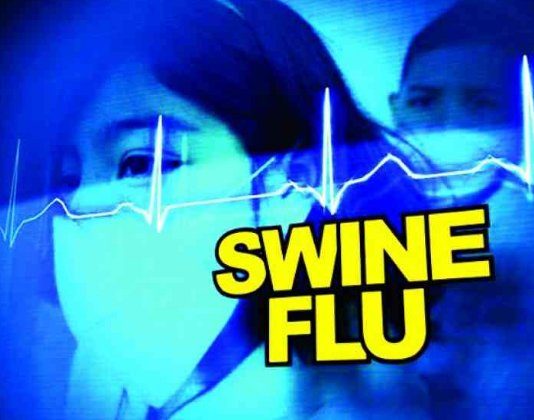 स्वाइन फ्लू की बीकानेर में दस्तक, बचाव ही इलाज…. देखें वीडियो