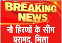 नौ हिरणों के सींग बरामद, मिला औजारों का जखीरा