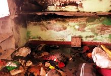 गंगाशहर में लगी आग… देखें वीडियो