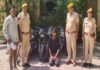 मोटरसाइकिल चोरी का आरोपी गिरफ्तार, छह बाइक बरामद